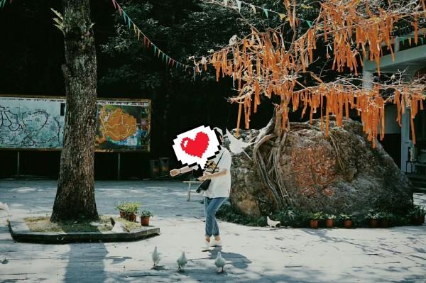 亚当玩高尔夫